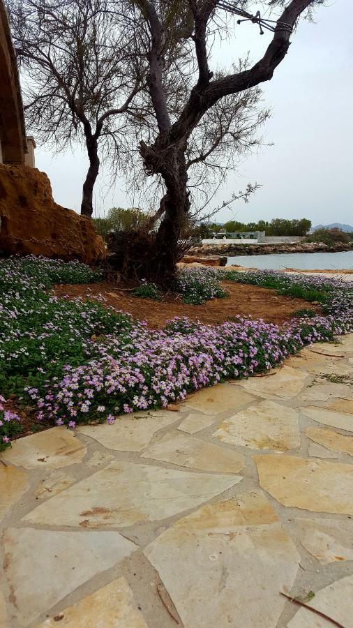 Alikes Apartments Close To International Airport And Rafina Port アルテミダ エクステリア 写真