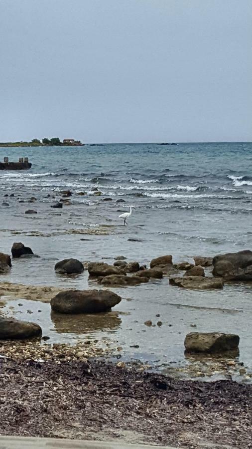Alikes Apartments Close To International Airport And Rafina Port アルテミダ エクステリア 写真
